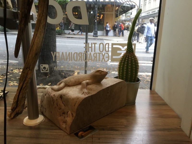 Lizard sculpture in retail window display